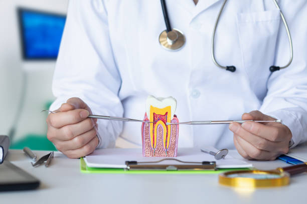 Best Emergency Orthodontic Repairs in Druid Hills, GA